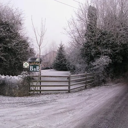 Bed & Breakfast Gormagh Tullamore
