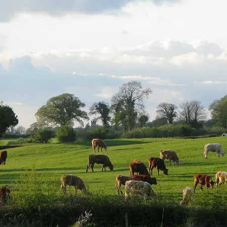 Gormagh