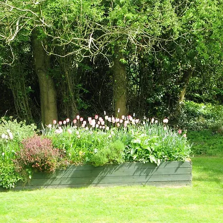 Bed & Breakfast Gormagh Tullamore
