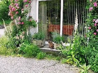 Gormagh Bed & Breakfast